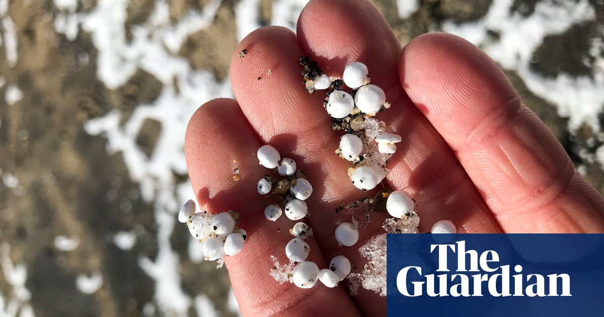 It's not snow, it's styrofoam: Lake Tahoe littered with thousands of 'detrimental' beads