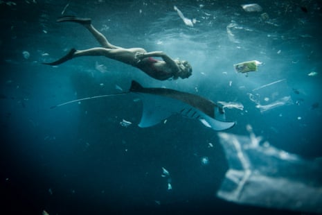 Nusa Lembongan, Bali, Indonesia. A snorkeller swims alongside a manta ray surrounded by plastic trash in December 2014.