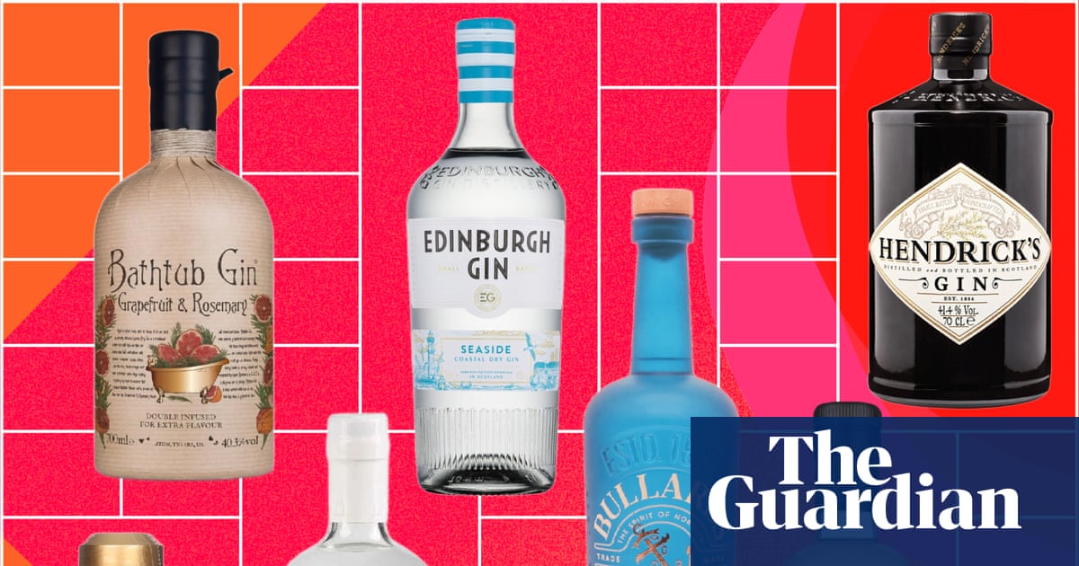 Las mejores ginebras para G&TS, Martinis y Negronis, de nuestra prueba de sabor de 50 | Espíritu Las mejores ginebras para G&TS, Martinis y Negronis, de nuestra prueba de sabor de 50 | Espíritu
