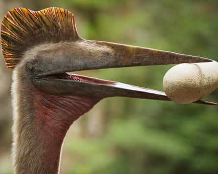 Head shot of bird-like dinosaur with egg in beak