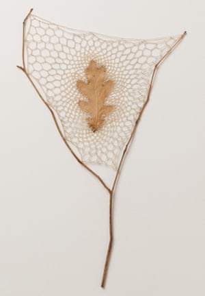 Repose, a leaf sculpture by Susanna Bauer