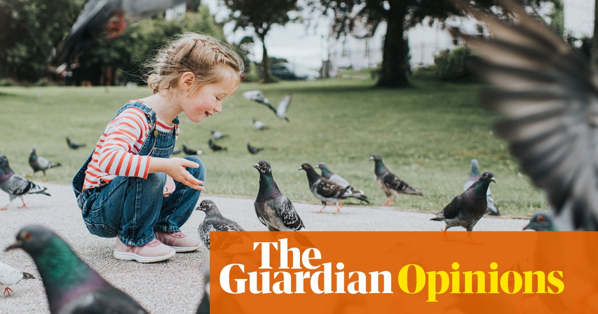 I loathe pigeons. You wouldn't believe what they do to my downpipe | Adrian Chiles