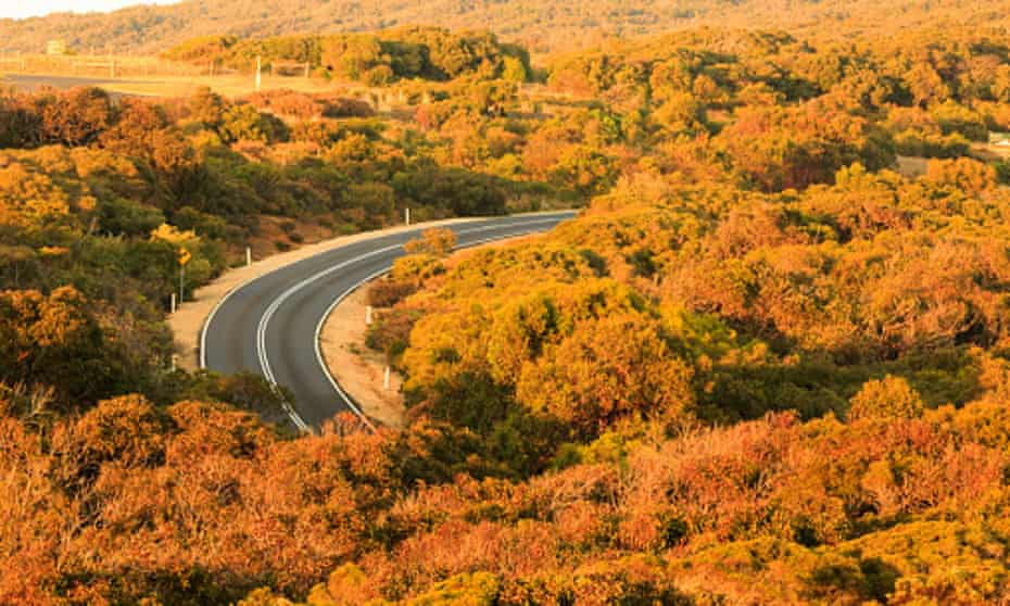 Great Ocean Road at risk from erosion and rising sea levels, report finds | Victoria | The Guardian
