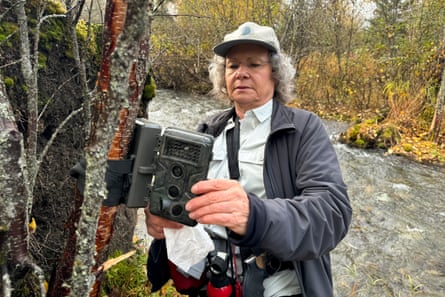 Woman in ball cap and coat looks at camera attached to tree, in front of creek.