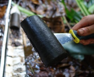 Scientists discover world’s largest tropical peatland in remote Congo swamps
A vast peatland in the Congo Basin has been mapped for the first time, revealing it to be the largest in the tropics.