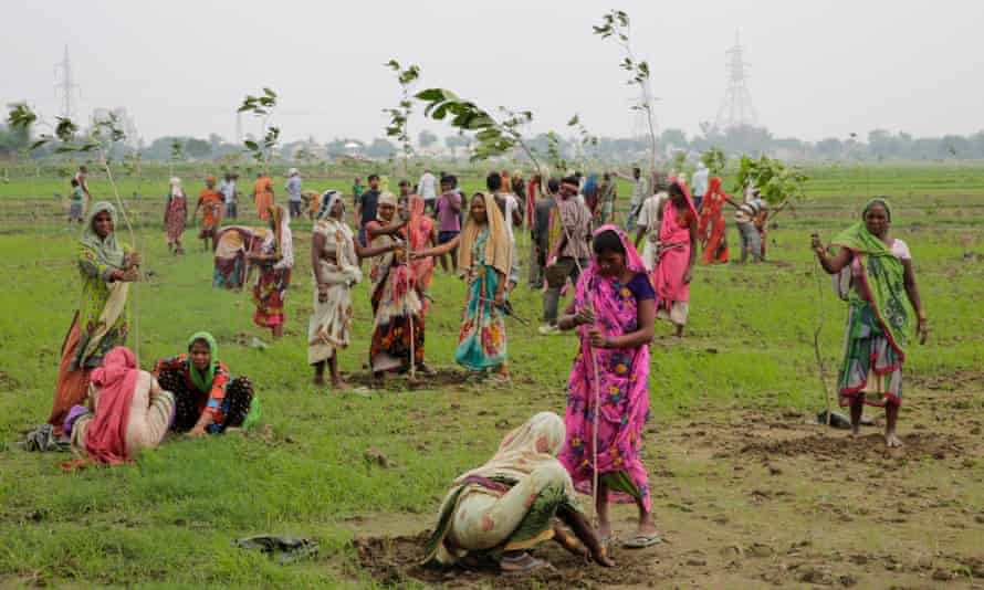 Women plant saplings on the outskirts of Allahabad, India, in 2016.