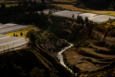An aerial view of greenhouses next to a river