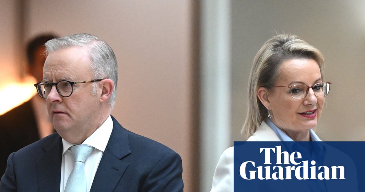 Albanese and Ley to decide members of ‘secret’ new committee set to scrutinise Aukus – but Greens excluded