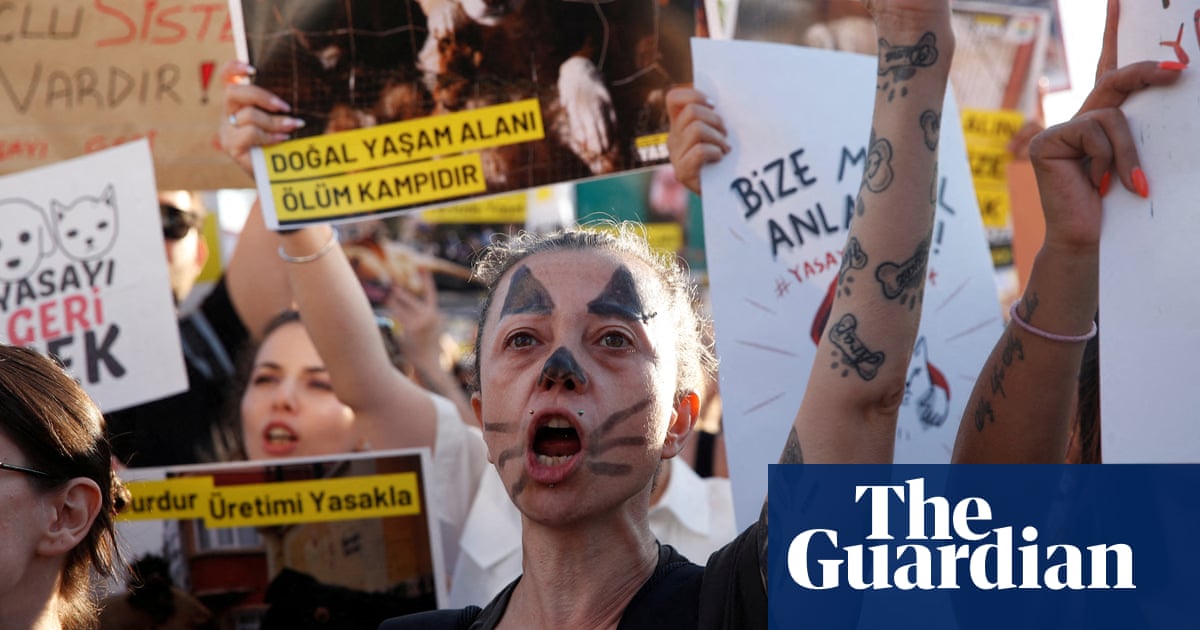 Turkey approves ‘massacre law’ to remove millions of stray dogs Turkey approves ‘massacre law’ to remove millions of stray dogs