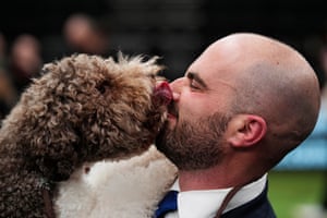 Birmingham, UK. Orca, a lagotto romagnolo, winner of the gundog group title, seen with handler Javier Gonzalez Mendikote, owned by Sabina Zdunić Šinković and Ante Lučin from Croatia, wins overall best In show at Crufts