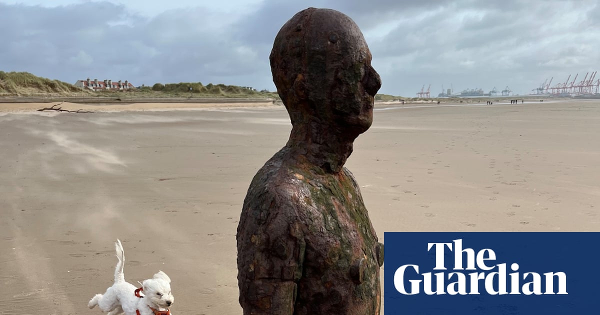 When I saw what I captured I felt a Muybridge-like joy': Roger Tooth's best phone picture