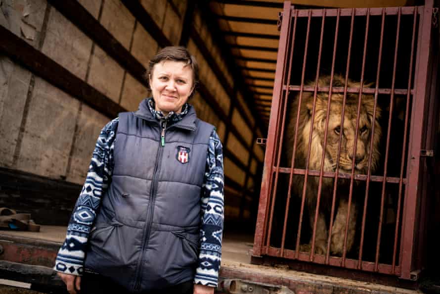 Nataliya Popova vahşi hayvan barınağında bir portre için poz veriyor