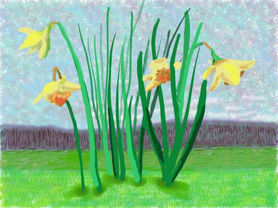 David Hockney’s portrait of spring daffodils in Normandy