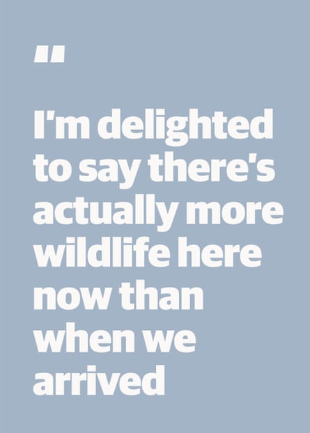 A kitchen in a quarry: why Charlie Bigham’s meals campus was named a Riba constructing of the yr | A imaginative and prescient for higher meals 5 Quote: “I’m delighted to say there’s actually more wildlife here now than when we arrived”