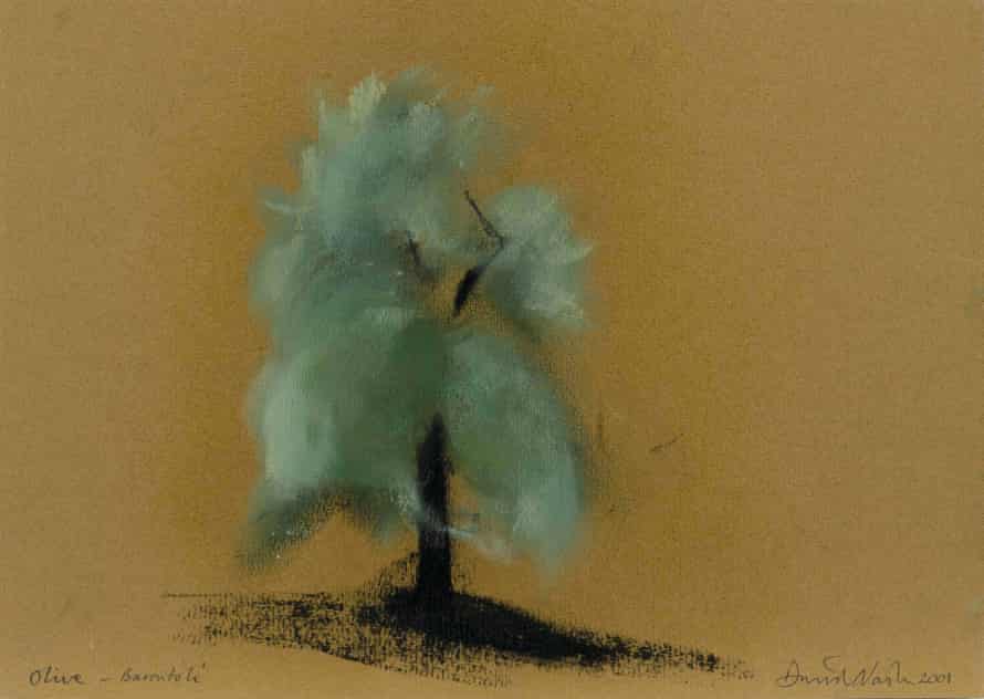 David Nash’s Olive, Barontoli, 2001.