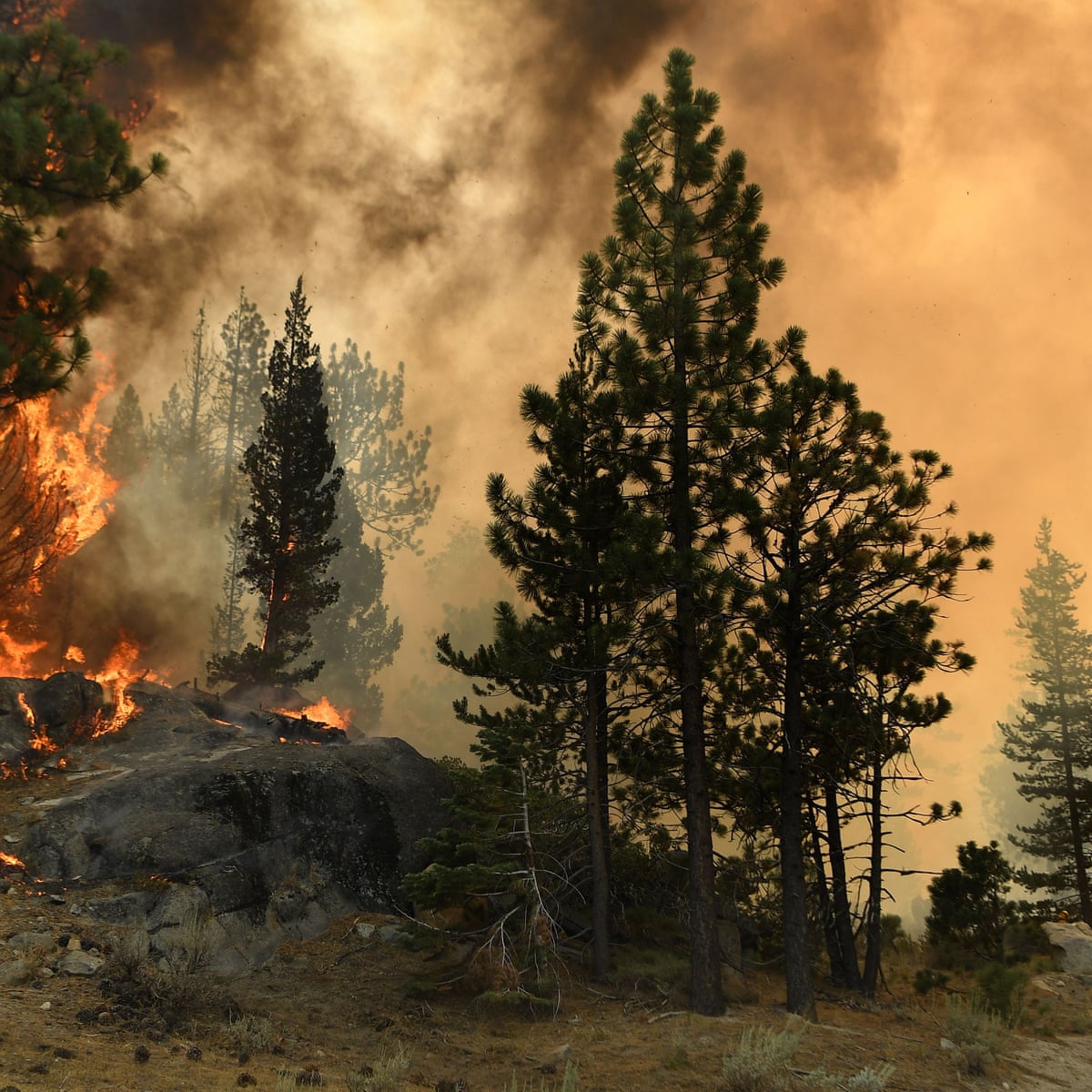 'Things are looking good': hopes rise for Tahoe as Caldor fire crews make progress | California | The Guardian