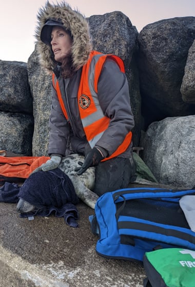 Sally Bunce, seal rescue volunteer.
