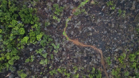 Aerial view of severely burnt land with a few untouched trees