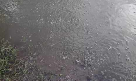 Methane bubbles seen in the Condamine river.