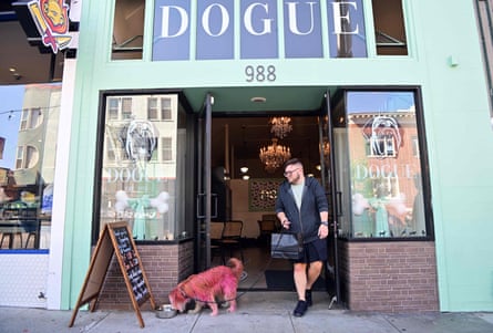 A man exits the Dogue storefront with his terrier mix dog, whose fur has been dyed pink, on a leash.