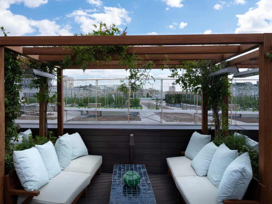 The future of food inside the worlds largest urban farm built on a Biology Diagrams