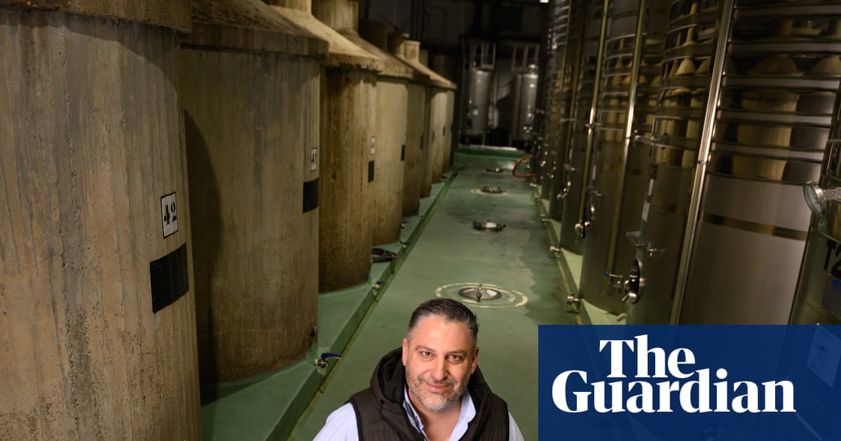 ‘Too important not to fight for’: Spain’s wine industry seeks infusion of new blood