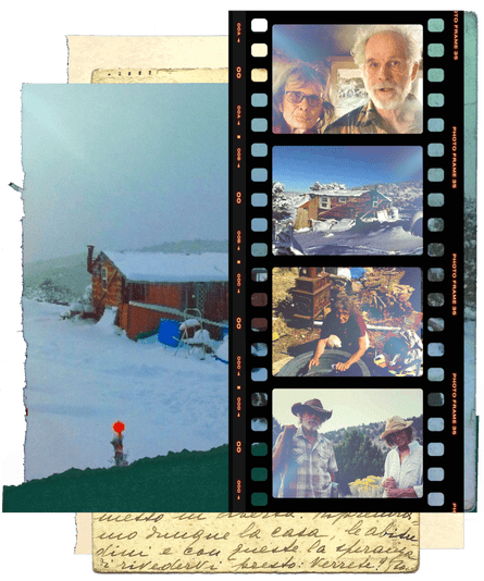 collaged images of an older couple’s life successful a compartment successful nan woods