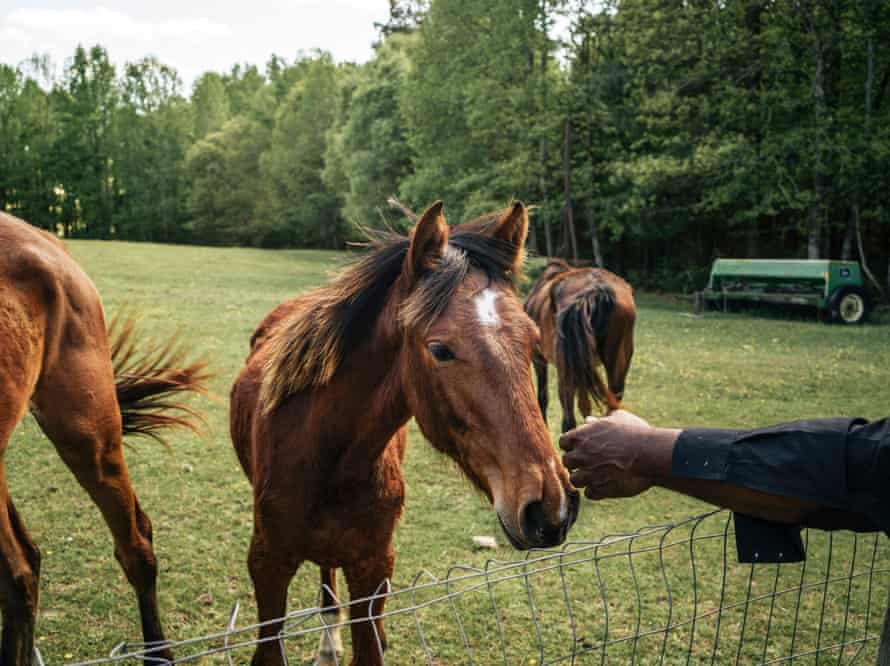 John Boyd Jr greets one of his four horses on his farm in Baskerville, Virginia, on 22 April 2019.
