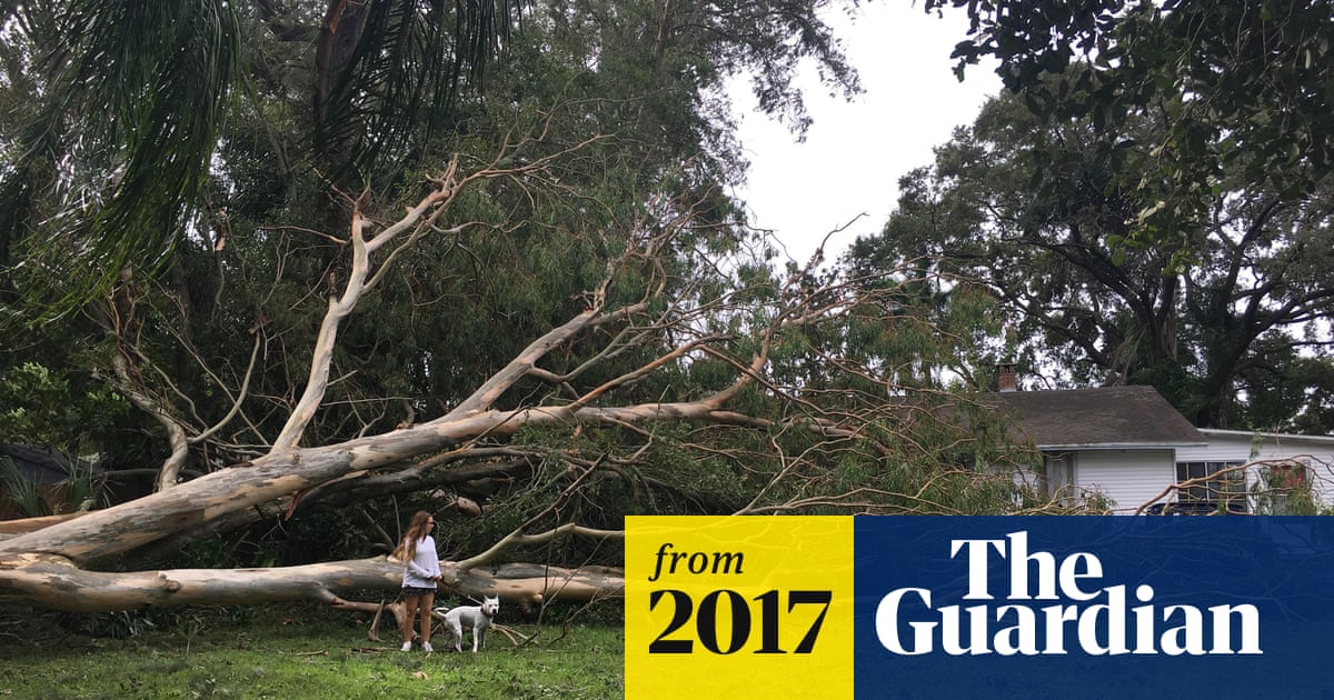 Did the Little Couple Survive Hurricane Irma? Shocking Truth Revealed