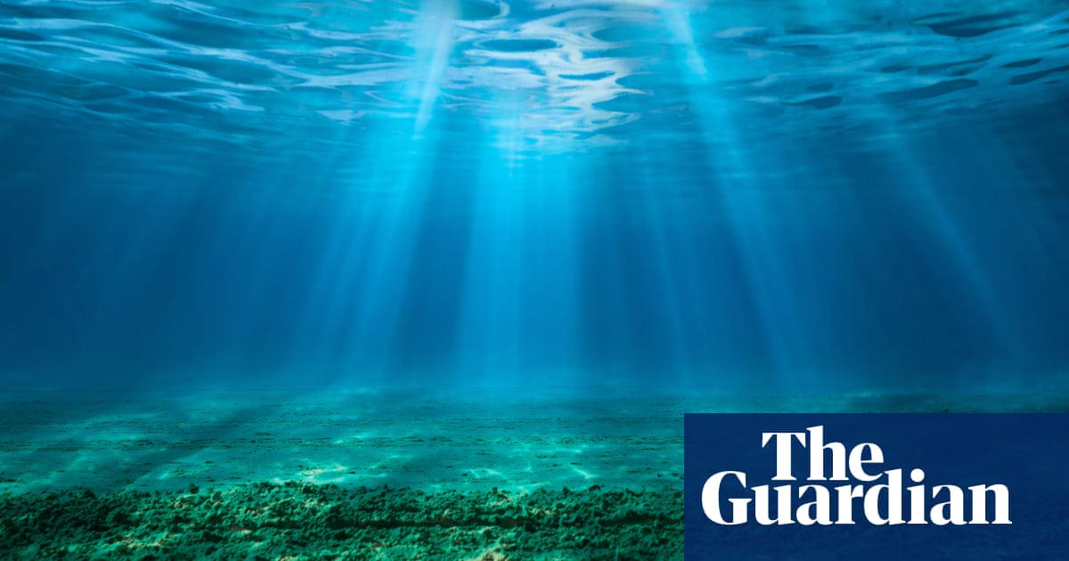 Ticking timebomb': sea acidity has reached critical levels, threatening entire ecosystems  study
