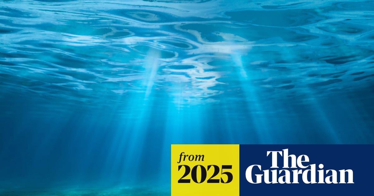 ‘Ticking timebomb’: sea acidity has reached critical levels, threatening entire ecosystems – study