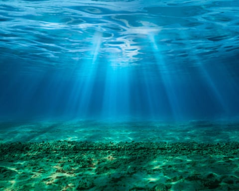 A luz brilha através da superfície de um oceano sobre o fundo verde do mar abaixo