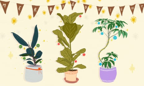 An illustration of three different potted plants with Christmas baubles on them under bunting which says merry and bright