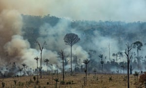 The fires in the world’s largest rainforest have triggered a global outcry and are dominating the G7 meeting in Biarritz in southern France.