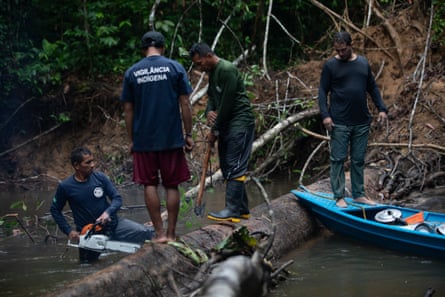 Two men stand on a tree trunk, fallen across a river, looking at another man standing in the water with a chainsaw. A forth man stands on the prow of a blue canoe that is resting up against the log