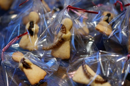 Cookies with a side order of insects are available at a bar in Tokyo.