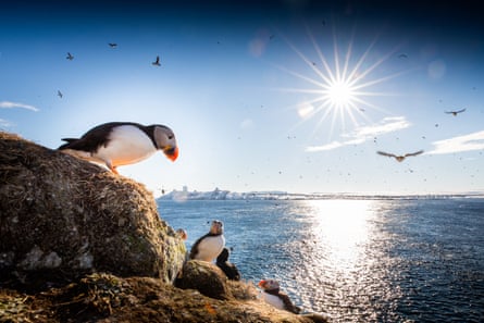 The rocky islets are populated by puffins among other sea birds.
