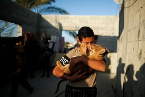 Khan Younis, Gaza. A boy cuddles a lion cub on the rooftop of a house, one of two cubs bought from a local zoo
