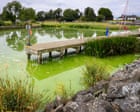 L'inquinamento del Lough Neagh: il lago più grande del Regno Unito soffoca tra le alghe tossiche