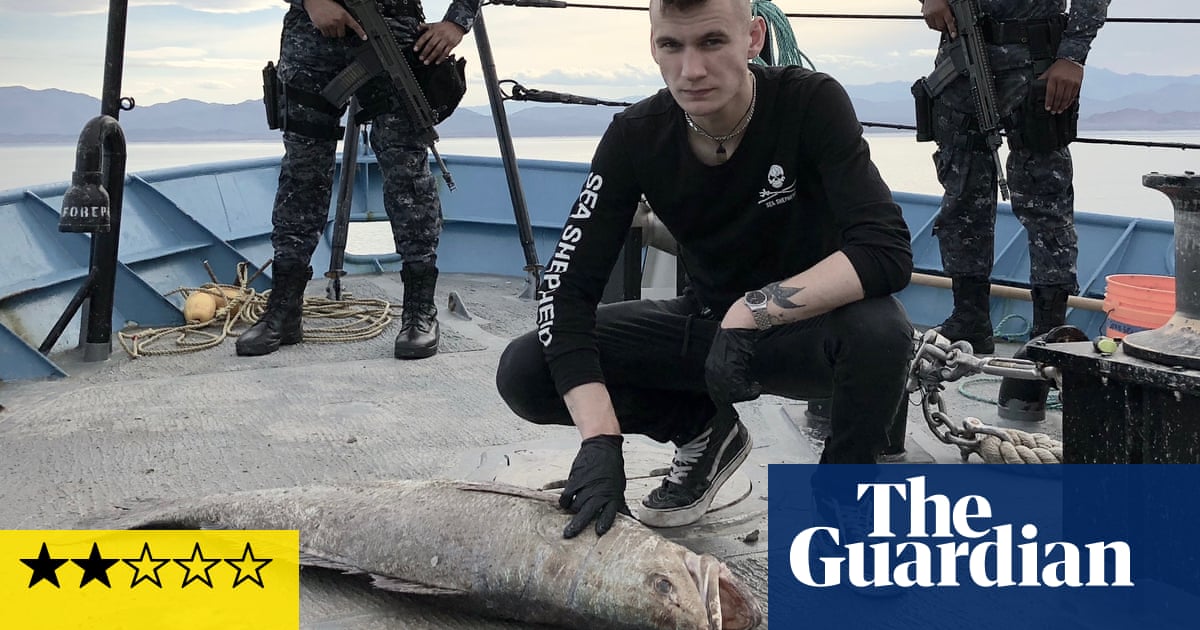 Sea of Shadows review – porpoise documentary slips through the net