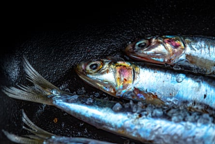 Not that fishy … a few anchovies create a layer of salty umami.