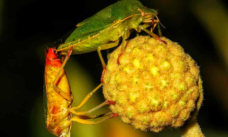 After Work Drinks By Video How To Survive 100 Days Of Solitude Membership The Guardian After Work Drinks By Video How To Survive 100 Days Of Solitude Membership The Guardian