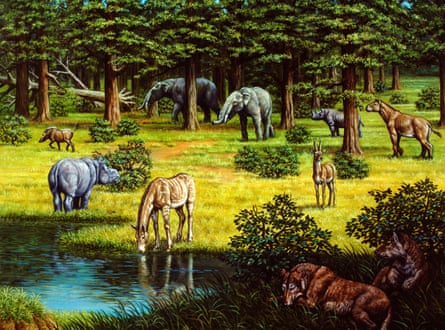 Prehistoric wildlife from the Miocene.