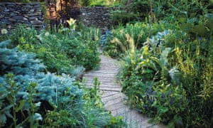 Tengo un jardín de diseño dilema? Aquí hay cinco consejos de expertos 1 decking through a garden