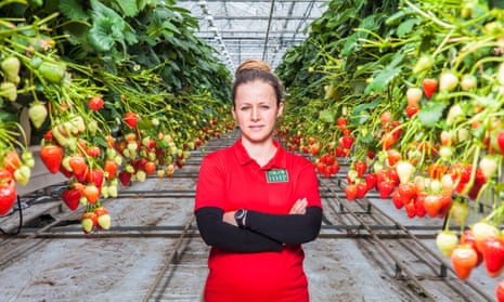 Zyulfie Yusein, a Bulgarian graduate and seasonal worker on a strawberry farm in West Sussex.