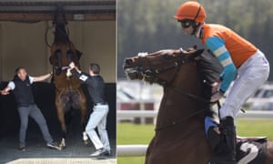 Cunco at Newbury on Friday