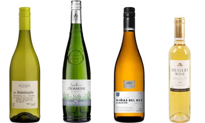 Best Wines For Christmas 2021 The 50 Best Wines For Christmas 2021 Wine The Guardian Best Wines For Christmas 2021 The 50 Best Wines For Christmas 2021 Wine The Guardian