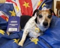 Lily the dog and her EU pet passport