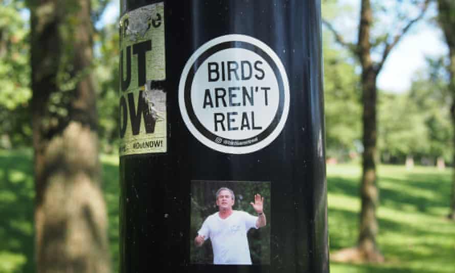 'People who believe conspiracy theories live in another world where even the most fleeting attempt to fact check it marks you out as a brainwashed liberal.'