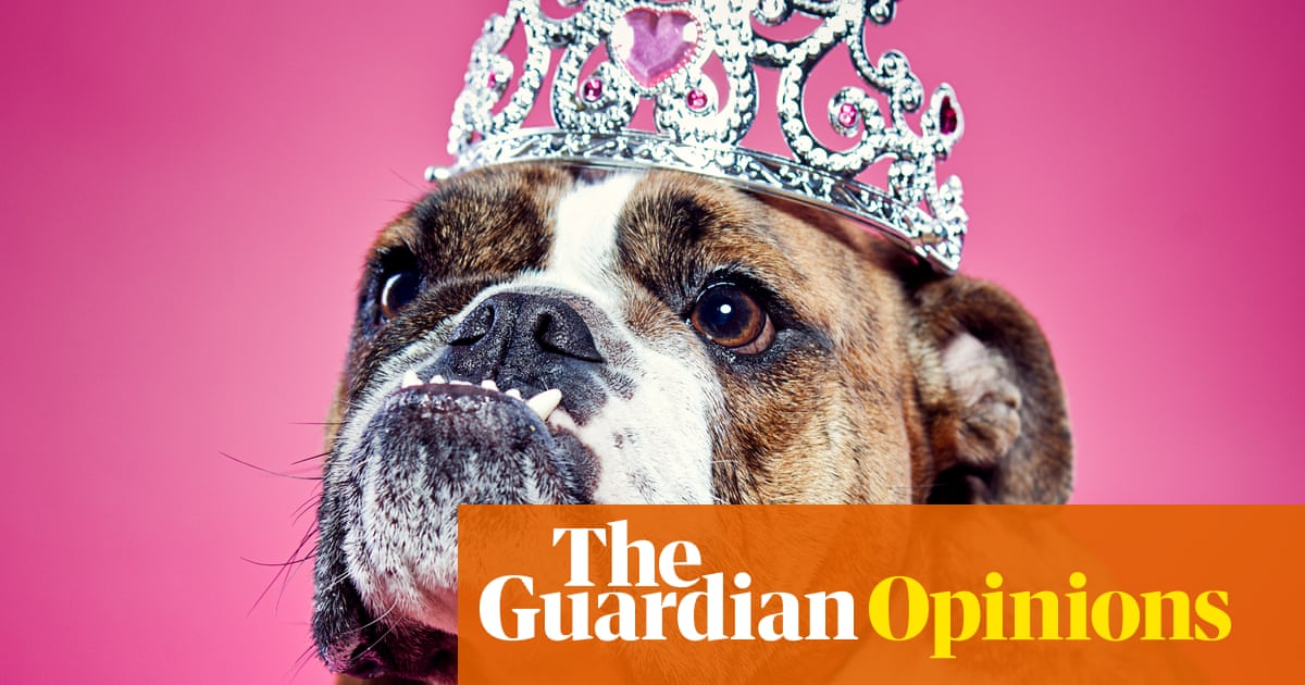 Our obsession with spoiling pets has gone too far: your dog doesn't care if its collar is from Burberry | Van Badham